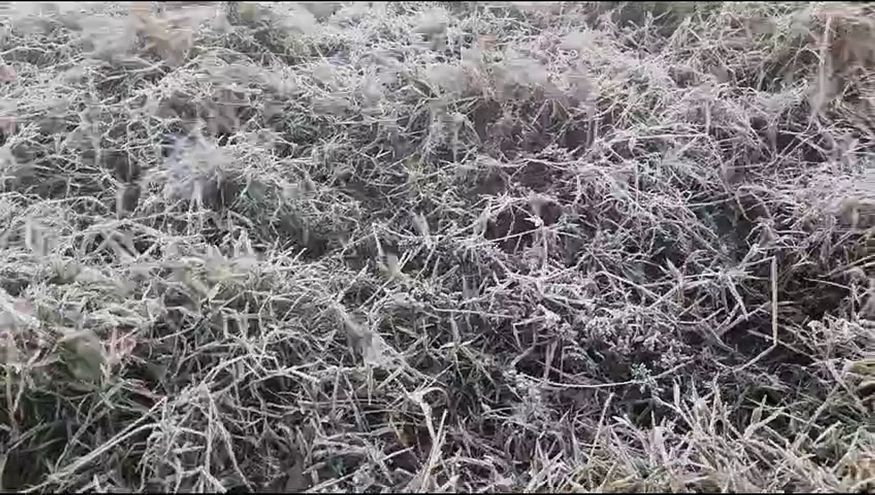 सर्दी से जनजीवन रहा प्रभावित, पारा जमाव बिंदू पर