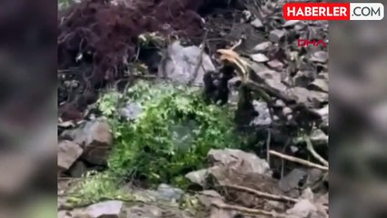 Rize Hemşin'de Heyelan: Yol Kapandı