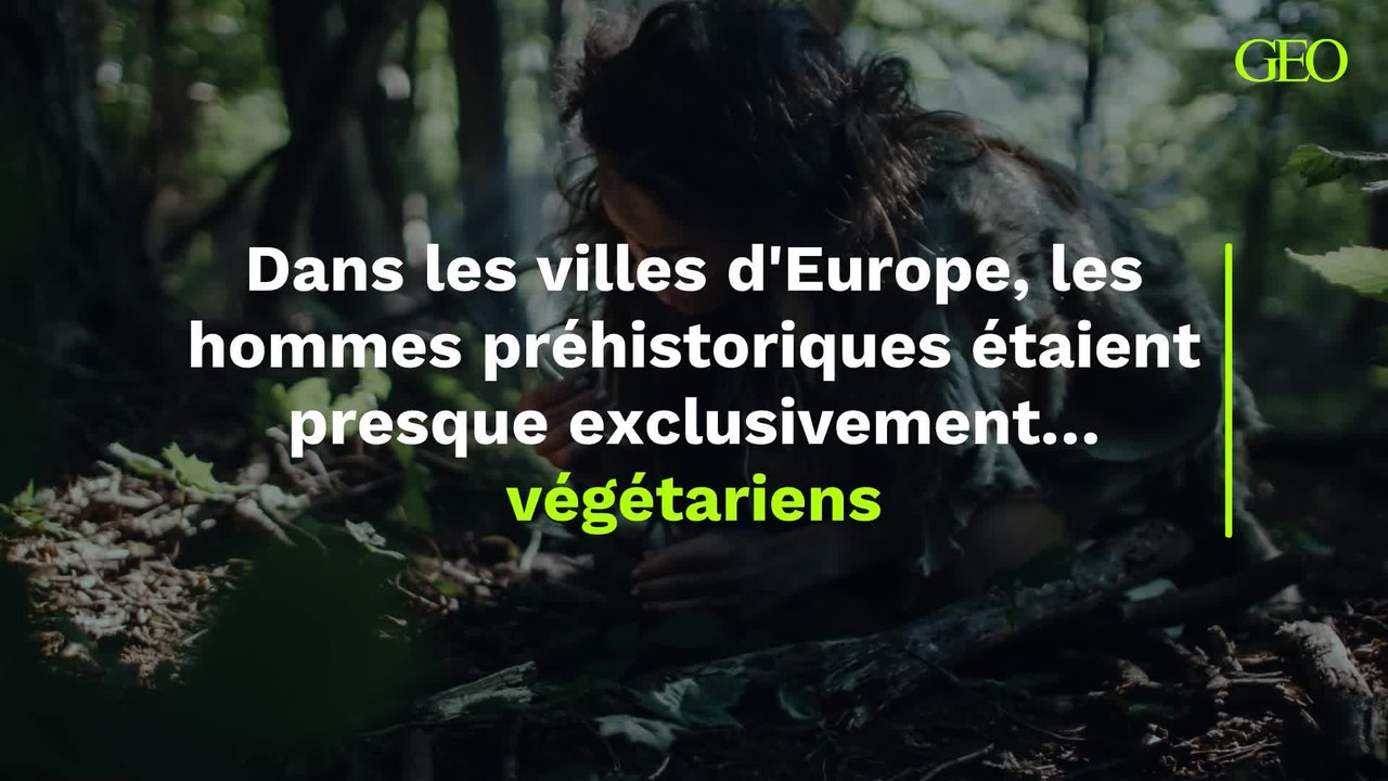 Dans les villes d'Europe, les hommes préhistoriques étaient presque exclusivement… végétariens