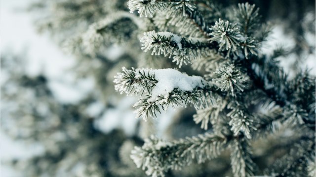 Gros coup de froid ce week-end : ce que nous réserve la météo avec l'arrivée du fameux Moscou-Paris