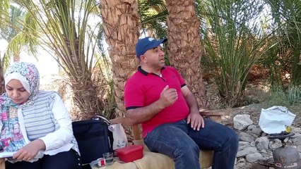 دكتور يحيى صلاج ومعلومات مهمة عن  زراعة النخيل