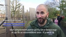 Le zoo de Londres commence son recensement annuel