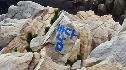 울산 대왕암공원서 '바다남' 낙서 발견 🚨