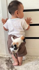 Kitten Clings To Boy