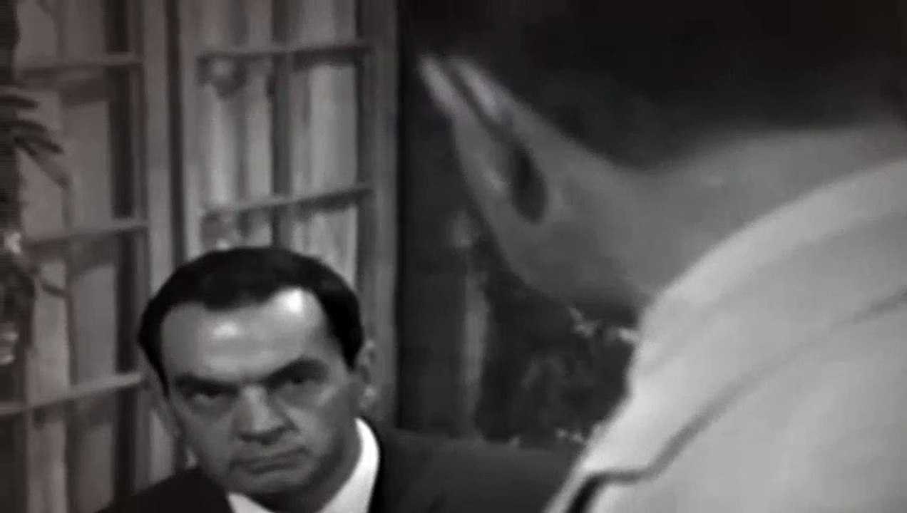 Doctor Who Season 2 Episode 2 Planet Of Giants Pt 2 Dangerous Journey