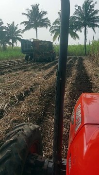 Sugarcane infielder videos // how to load tractor // sugarcane harvester and infielder