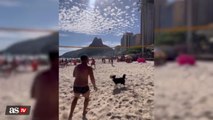WATCH: Beach dog puts foot volley teammates to shame