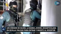 Los códigos de Blood, la banda juvenil desarticulada en Sevilla: palizas para entrar y muerte al desertor