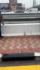 غرق سيارات بسبب الأمطار