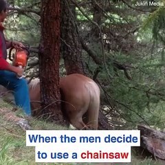 Not All Heroes Wear Capes