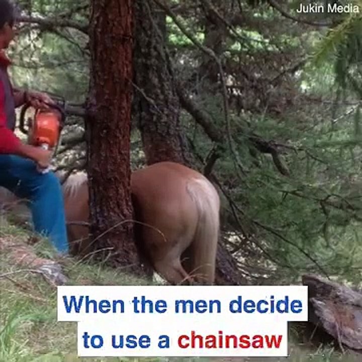 Not All Heroes Wear Capes