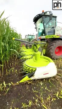CLAAS 870 Jaguar Forage Harvester on Maize Silage _agri(720P_HD)