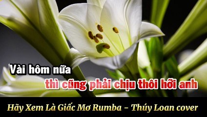 Hãy Xem Là Giấc Mơ Rumba - Thúy Loan cover
