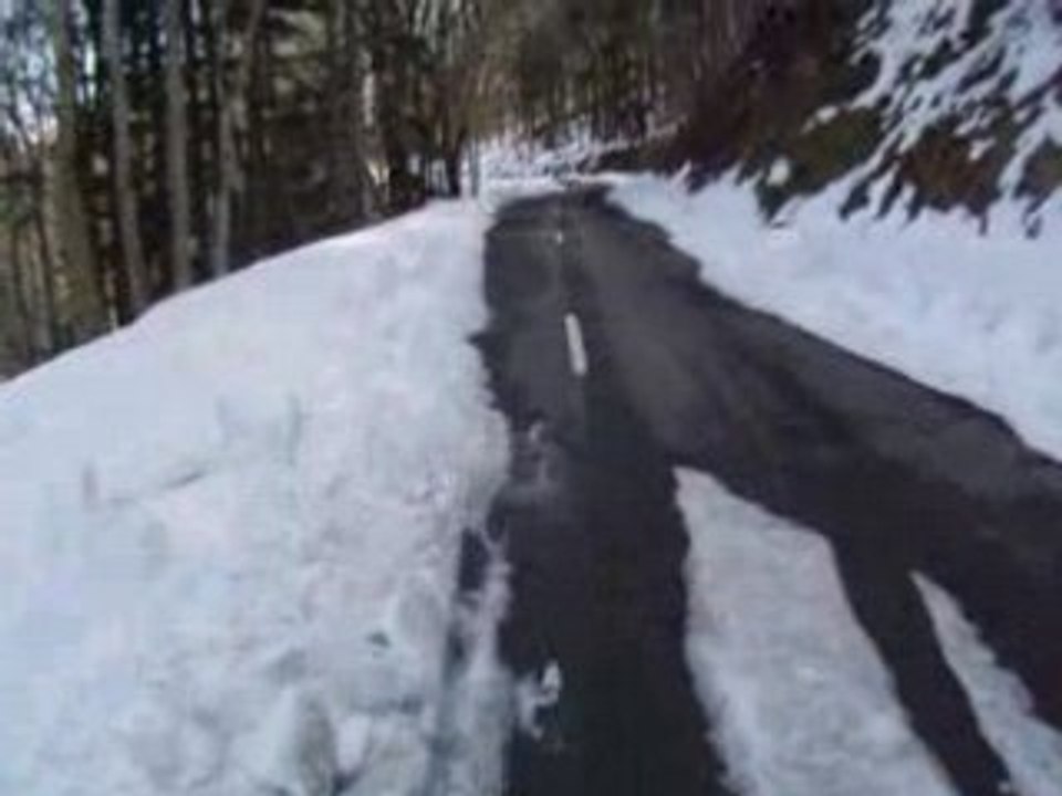 MOV04419