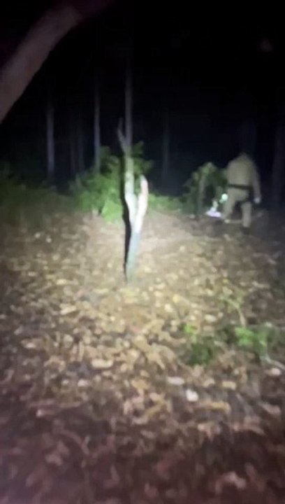 Mãe e filho são resgatados após se perderem em trilha de Florianópolis