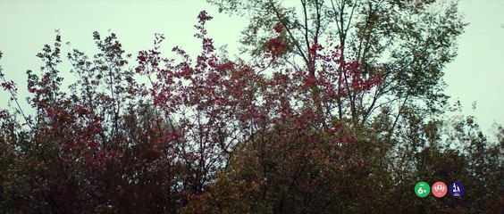 La bella estate Bande-annonce (IT)