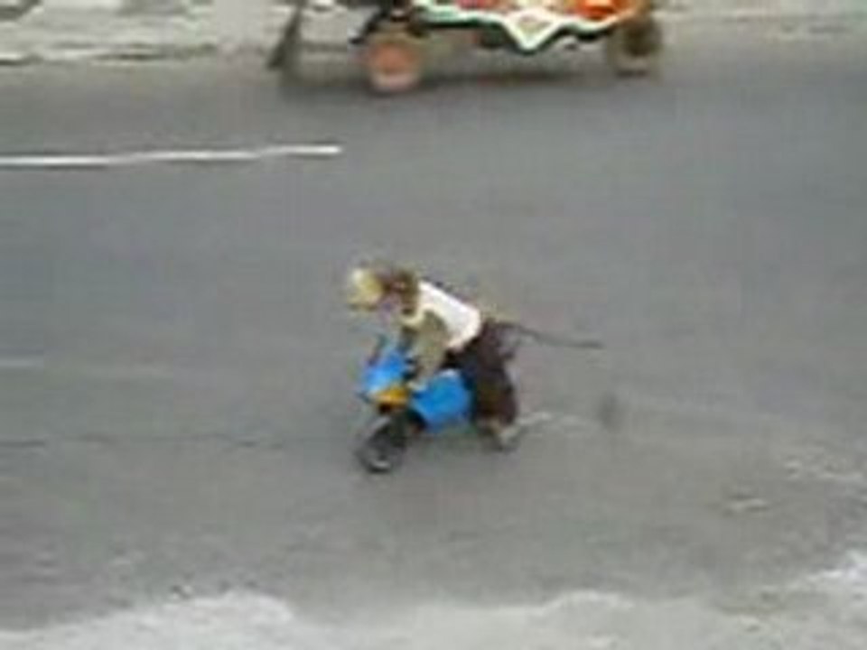 singe sur une Poketbike