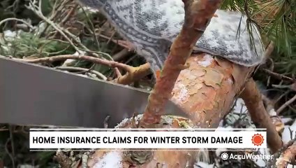 Homeowners' insurance: What to do before and after a winter storm