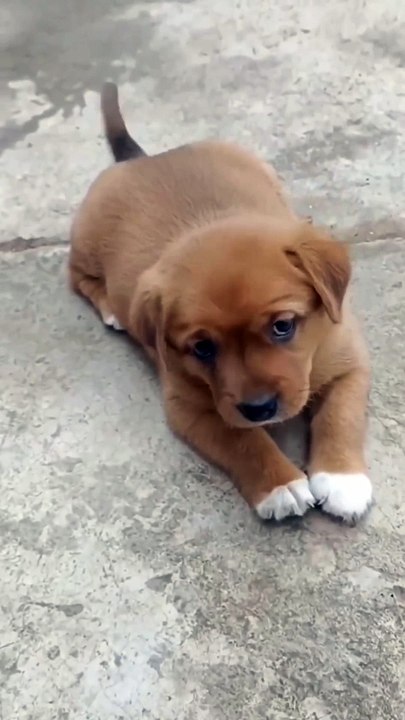Cuteness 