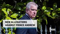 Prince Andrew Accused of Groping Woman with Hand Puppet That Looked Like Him _ E