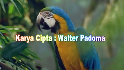 Lagu Rohani, Kau Layak, Talita Doodoh, Walter Padoma, Wp Production