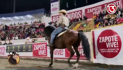 Exhibición de Caballos Costaricense de paso | 3 enero 2024