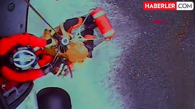 ABD'de uçurumda mahsur kalan köpek helikopterle kurtarıldı