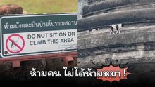 กรุณาอ่านข้อห้ามด้วยนะเจ้าตูบ...