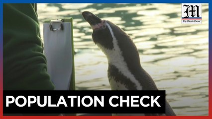 London zoo begins annual animal census