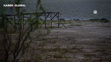 Korkutan görüntüler görenleri şoke ediyor: Her gün binlercesi ölüyor!