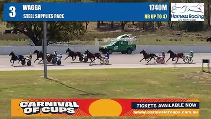 My Ultimate Harry makes it a hat-trick at Riverina Paceway