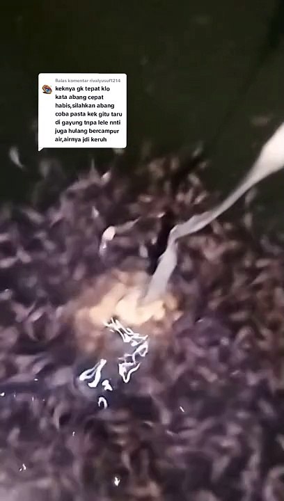 Silahkan kalian nilai sendiri, tulis dikolom komentar bagaimana pendapat kalian❓