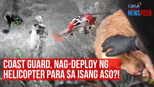 Coast guard, nag-deploy ng helicopter para sa isang aso?! | GMA Integrated Newsfeed
