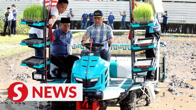 King visits paddy gallery in Sekinchan