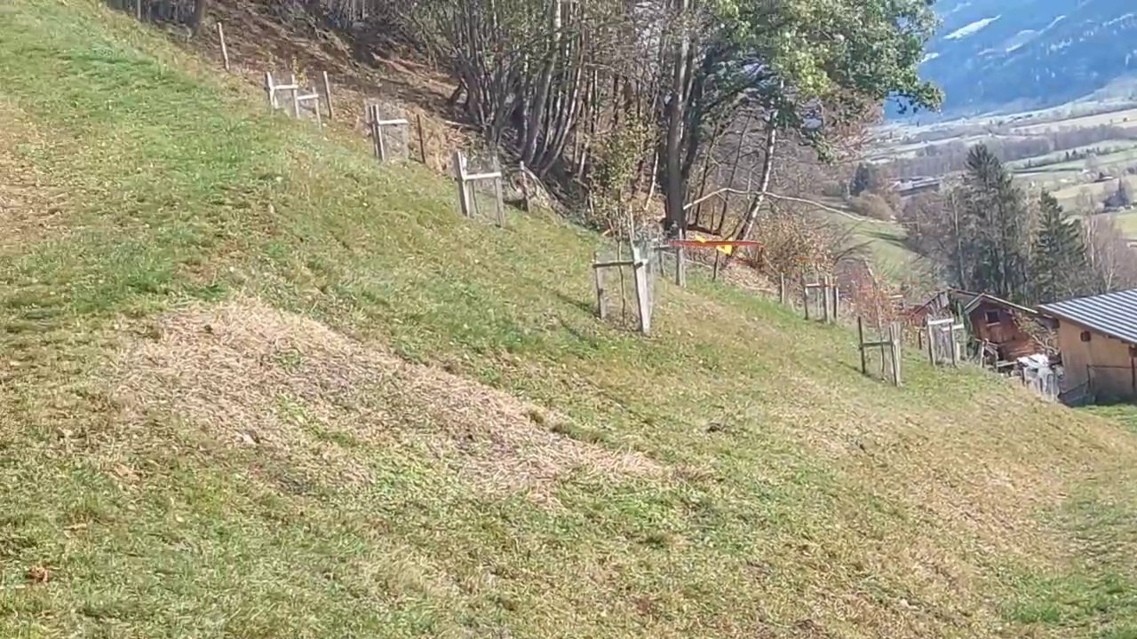 Wood wipe midi Nurflügel am Westhang beinahe einen Baum getroffen