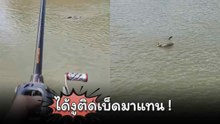 หนุ่มตกปลาแต่งานนี้ไม่ได้ปลา แต่ได้งูติดเบ็ดมาแทน !