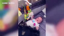 Sürekli ağlayan bebeğin yanına giderek onu sakinleştiren kedi şaşırttı