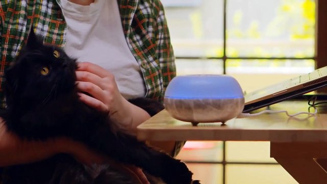 Expertise en Traitement d'Humidité à Algrange _ Sosumidite