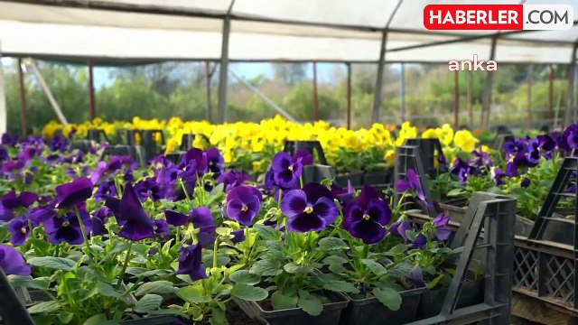 Konyaaltı Belediyesi 2024 yılında park ve bahçeleri 300 bin çiçek ve fidan ile güzelleştirecek