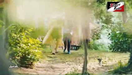 مسلسل الدخيل ( الجزء 3 ) – الحلقة 70 – تركى مدبلج