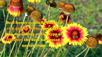 Unveiling Secrets of Real Honey