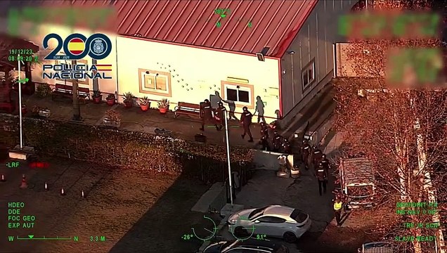 Desarticulada una organización criminal dedicada a la cría y venta ilegal de cachorros