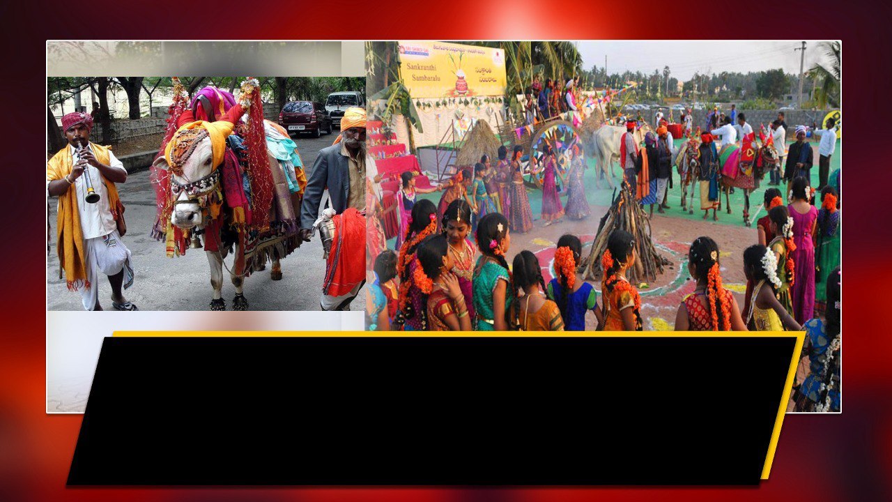 ఆంధ్రాకు తెలంగాణ నేతల క్యూ.! మూడు రోజులపాటు ఎంజాయ్.! | Telugu Oneindia