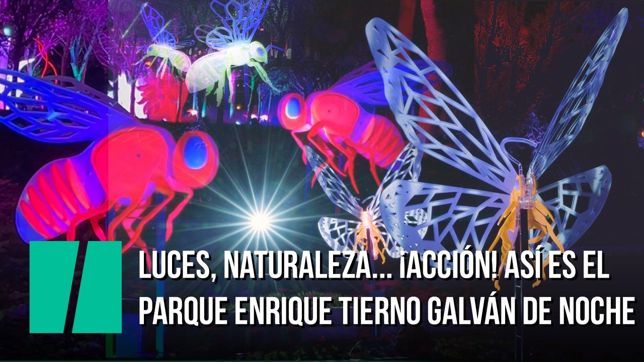 Luces, naturaleza... ¡Acción! Así es el parque Enrique Tierno Galván de noche