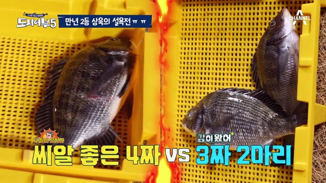 [#도시어부5] 상욱에게만 가혹한 도시어부의 세계 #주상욱 #KCM