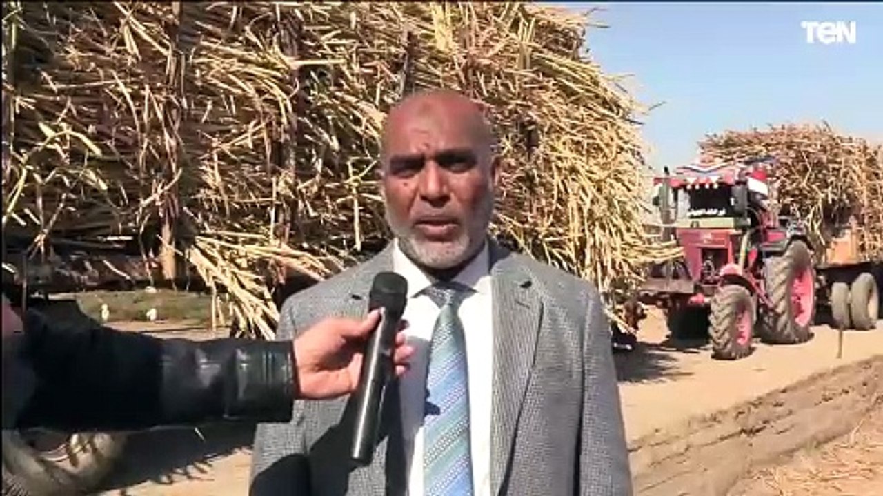 العضو المنتدب لشركة السكر والصناعات التكاملية: نستعد لإنتاج نحو 650 ألف طن سكر هذا العام