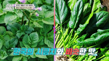 색이 변하는 증류주?! 한상에 다 모인 중동 대표 음식♥