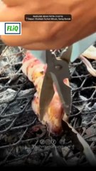 Sotong bakar, patin tempoyak