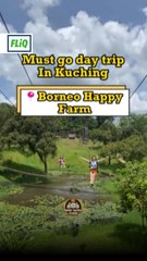 Borneo Happy Farm