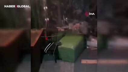 Uludağ'da acıkan ayı ailesi işletmeye girmek istedi